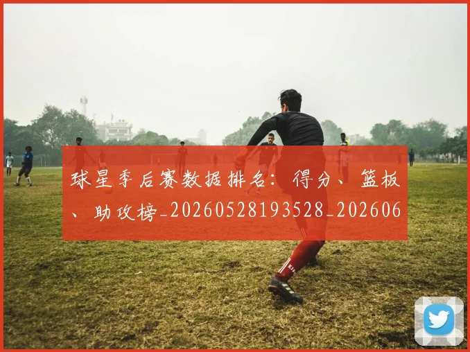 球星季后赛数据排名:得分、篮板、助攻榜_20260528193528_20260610170151